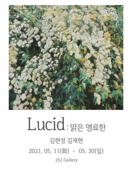 Lucid : 맑은 명료한