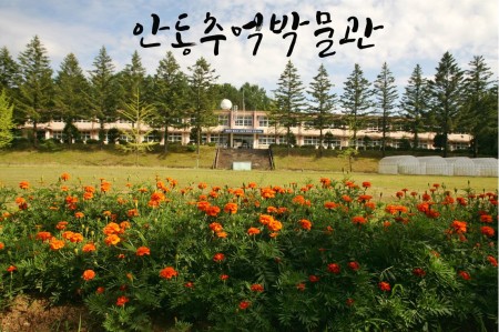 와룡 근현대사박물관/카페 개관
